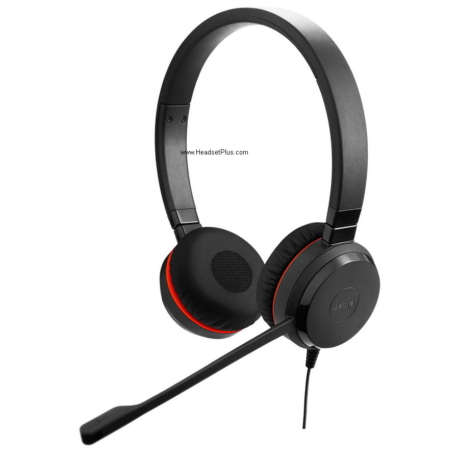 Best Headset for Working From Home (Landline & Computer)